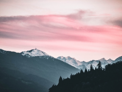 Bài dịch vụ test